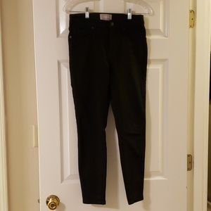 Everlane black authentic stretch ankle/shorter